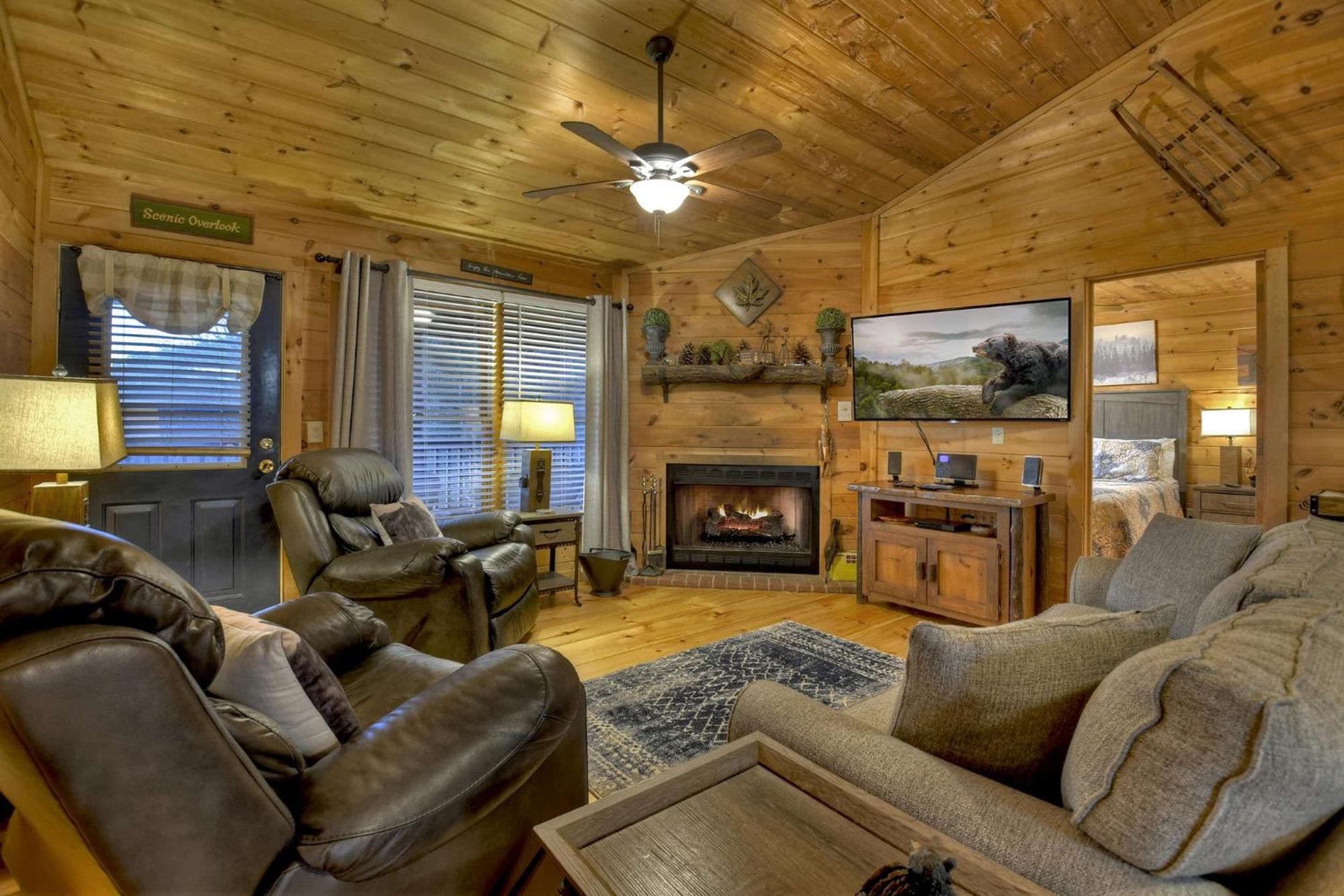 Talking Leaves Hot Tub Firepit And Comfy King Beds Villa Ellijay Exterior photo